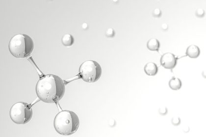 מה זה סרמידים?